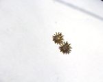 Golden Sunburst Crystal Stud Earrings - Image 3